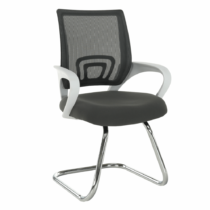 Zasadacia stolička, sivá/biela, SANAZ TYP 3